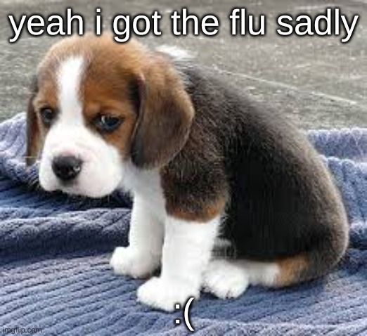 :< | yeah i got the flu sadly; :( | image tagged in sad face | made w/ Imgflip meme maker