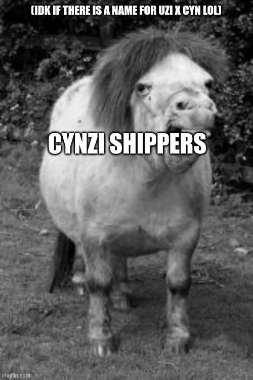 ugly horse | CYNZI SHIPPERS (IDK IF THERE IS A NAME FOR UZI X CYN LOL) | image tagged in ugly horse | made w/ Imgflip meme maker