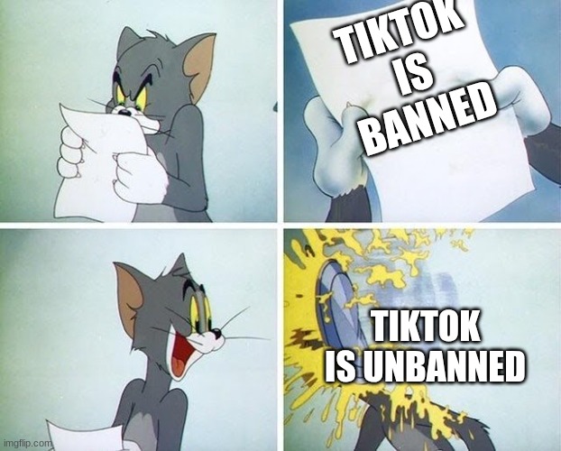 I don't know what's going on | TIKTOK IS BANNED; TIKTOK IS UNBANNED | image tagged in tom and jerry custard pie | made w/ Imgflip meme maker