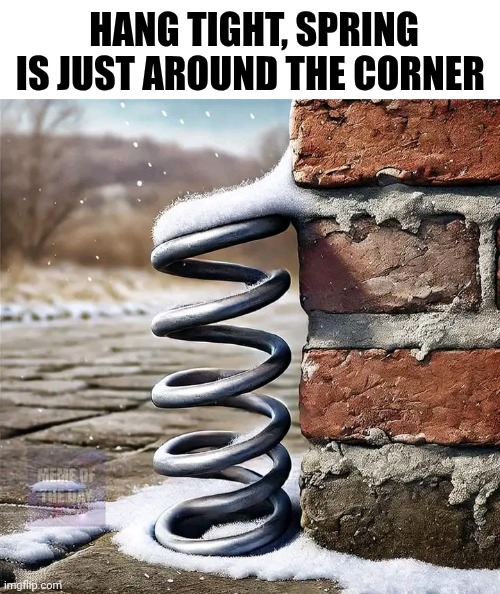 Hang Tight, Spring Is Just Around The Corner | HANG TIGHT, SPRING IS JUST AROUND THE CORNER | image tagged in chris joines | made w/ Imgflip meme maker