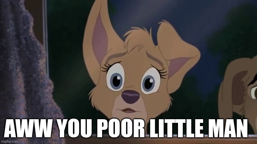 Aww You Poor Little Man | AWW YOU POOR LITTLE MAN | image tagged in lady and the tramp 2,disney,dogs,disney dogs,alyssa milano | made w/ Imgflip meme maker