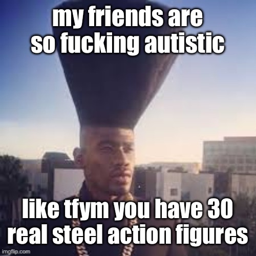 WiseMysticalHomeboy | my friends are so fuсking autistic; like tfym you have 30 real steel action figures | image tagged in wisemysticalhomeboy | made w/ Imgflip meme maker