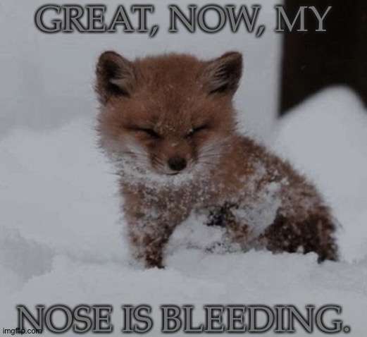 At Least, It's Not My Ear, This Time... | GREAT, NOW, MY; NOSE IS BLEEDING. | image tagged in adorable lil foxy,been sneezing nonstop,now my nose is bleeding,this shit is fun,you should try it | made w/ Imgflip meme maker