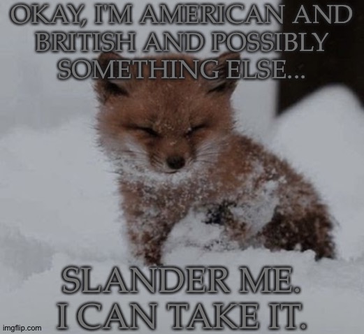 Let The Racism Roar (Words I Thought I'd Never Say) | OKAY, I'M AMERICAN AND
BRITISH AND POSSIBLY
SOMETHING ELSE... SLANDER ME.
I CAN TAKE IT. | image tagged in adorable lil foxy,have fun with this shit,slander me,give me what you got,slur away i guess,gonna hate myself later | made w/ Imgflip meme maker