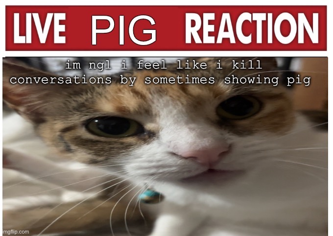 woah | im ngl i feel like i kill conversations by sometimes showing pig 😔 | image tagged in woah | made w/ Imgflip meme maker