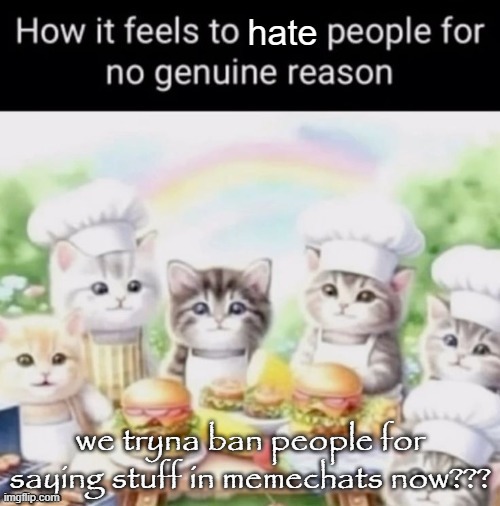 how it feels | we tryna ban people for saying stuff in memechats now??? | image tagged in how it feels | made w/ Imgflip meme maker
