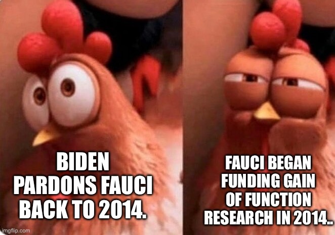 Don’t be suspicious | FAUCI BEGAN FUNDING GAIN OF FUNCTION RESEARCH IN 2014.. BIDEN PARDONS FAUCI BACK TO 2014. | image tagged in squinting chicken | made w/ Imgflip meme maker