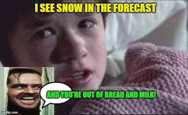 Even Worse Than Seeing Dead People | I SEE SNOW IN THE FORECAST; AND YOU'RE OUT OF BREAD AND MILK! | image tagged in memes,i see dead people,heres johnny,snow,forecast | made w/ Imgflip meme maker