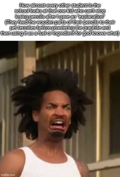 Why they keep losing their pencils | How almost every other student in the school looks at that one kid who can't stop losing pencils after I gave an "explanation"
(They feed the wooden parts of their pencils to their pet termites before powdering the graphite and then using it as a fuel or ingredient for god knows what) | image tagged in ewww,school,pencil,pencils,memes | made w/ Imgflip meme maker