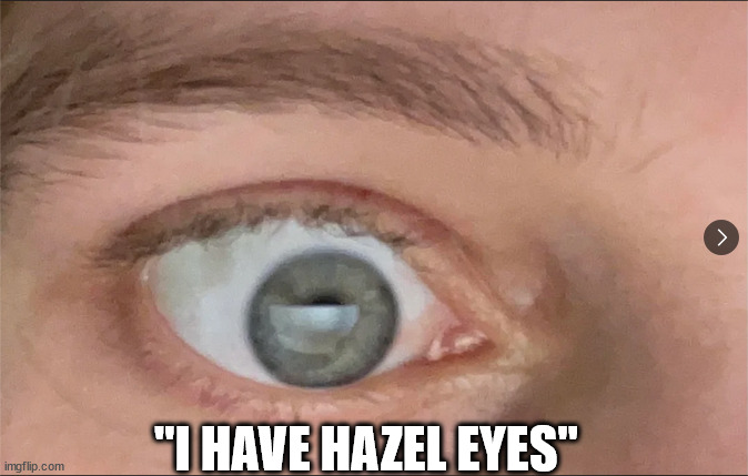 So hazel | "I HAVE HAZEL EYES" | image tagged in h | made w/ Imgflip meme maker