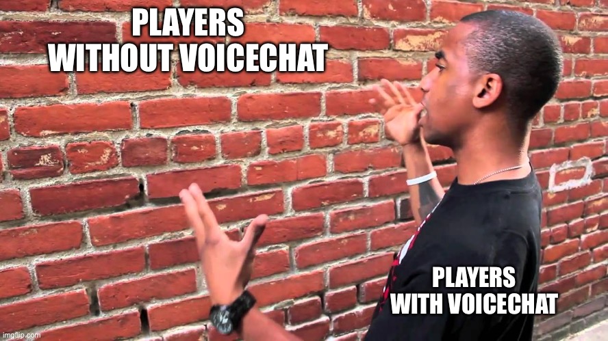 Talking to wall | PLAYERS WITHOUT VOICECHAT PLAYERS WITH VOICECHAT | image tagged in talking to wall | made w/ Imgflip meme maker