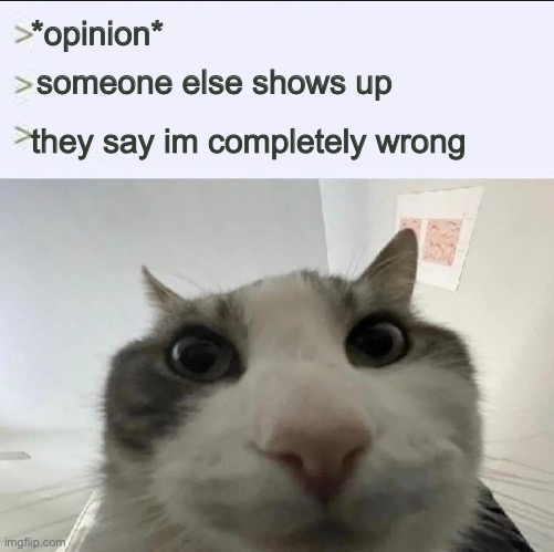 Cat looks inside | *opinion*; someone else shows up; they say im completely wrong | image tagged in cat looks inside | made w/ Imgflip meme maker