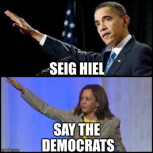 SEIG HIEL SAY THE 
DEMOCRATS | made w/ Imgflip meme maker