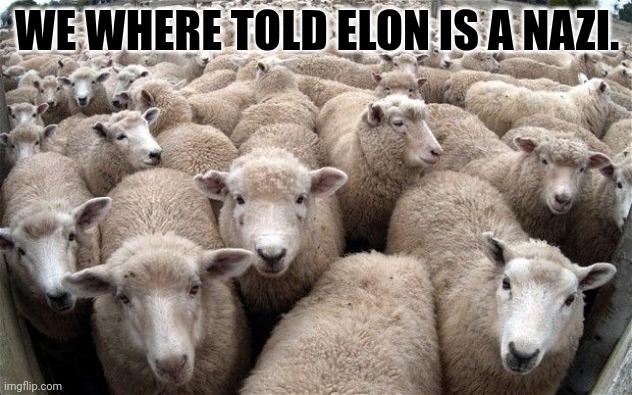 sheeple | WE WHERE TOLD ELON IS A NAZI. | image tagged in sheeple | made w/ Imgflip meme maker