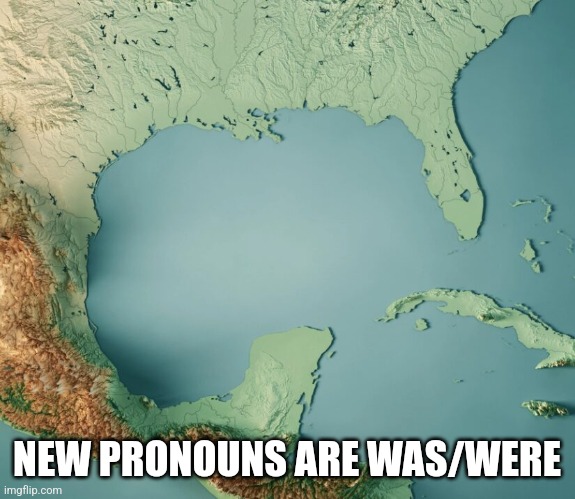 Gulf of What? | NEW PRONOUNS ARE WAS/WERE | image tagged in gulf of what | made w/ Imgflip meme maker