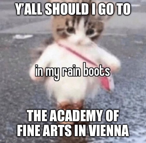I hope I get in | Y’ALL SHOULD I GO TO; THE ACADEMY OF FINE ARTS IN VIENNA | image tagged in rain boots | made w/ Imgflip meme maker