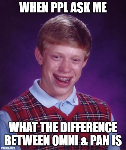 >:D | WHEN PPL ASK ME; WHAT THE DIFFERENCE BETWEEN OMNI & PAN IS | image tagged in memes,bad luck brian,lgbtq | made w/ Imgflip meme maker