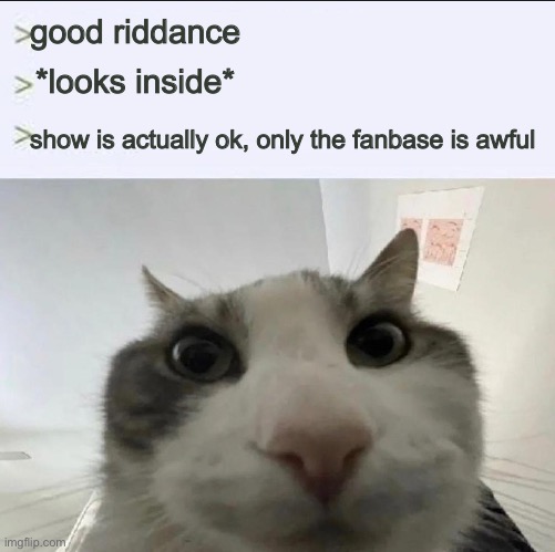 Cat looks inside | good riddance *looks inside* show is actually ok, only the fanbase is awful | image tagged in cat looks inside | made w/ Imgflip meme maker