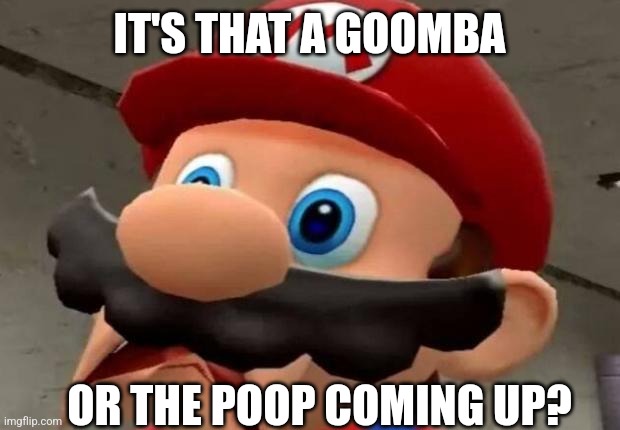 Mario WTF | IT'S THAT A GOOMBA OR THE POOP COMING UP? | image tagged in mario wtf | made w/ Imgflip meme maker