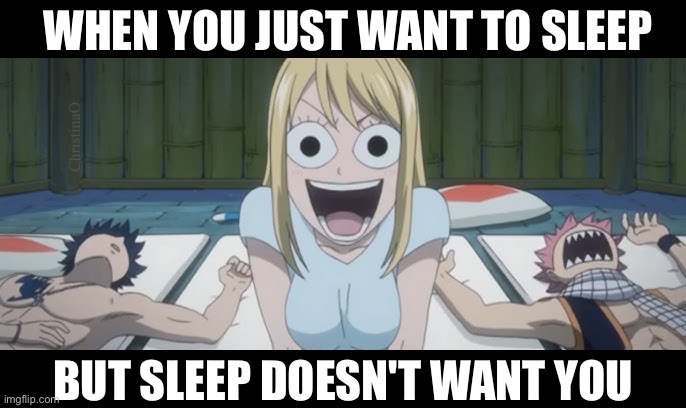 Fairy Tail Memes - Sleep | WHEN YOU JUST WANT TO SLEEP; ChristinaO; BUT SLEEP DOESN'T WANT YOU | image tagged in memes,fairy tail,fairy tail memes,fairy tail meme,lucy heartfilia,anime memes | made w/ Imgflip meme maker