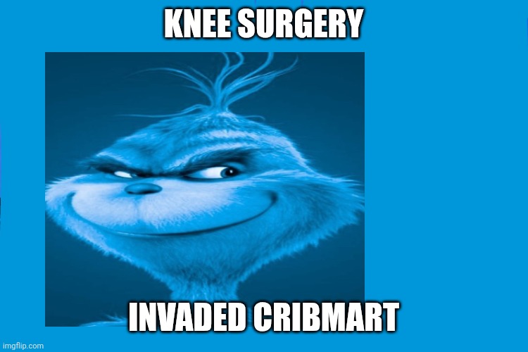 Cribmart | KNEE SURGERY; INVADED CRIBMART | image tagged in cribmart | made w/ Imgflip meme maker