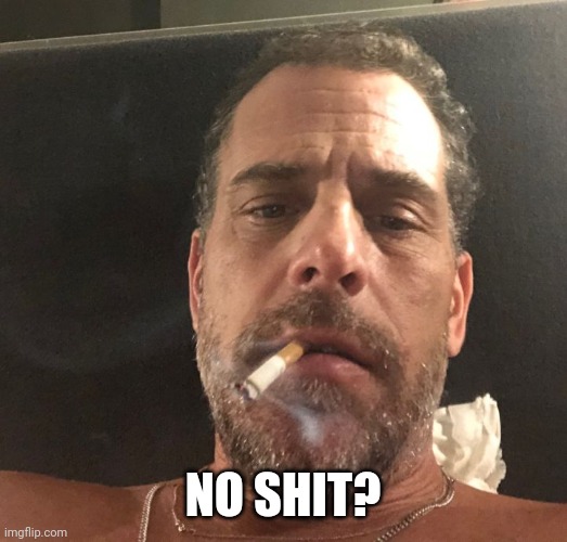 Hunter Biden | NO SHIT? | image tagged in hunter biden | made w/ Imgflip meme maker