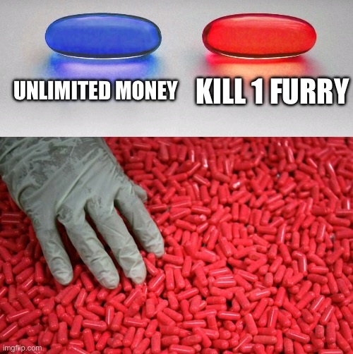 Blue or red pill | UNLIMITED MONEY; KILL 1 FURRY | image tagged in blue or red pill | made w/ Imgflip meme maker