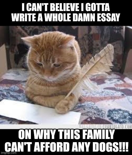 Lmfao | I CAN'T BELIEVE I GOTTA WRITE A WHOLE DAMN ESSAY; ON WHY THIS FAMILY CAN'T AFFORD ANY DOGS!!! | image tagged in writer cat | made w/ Imgflip meme maker