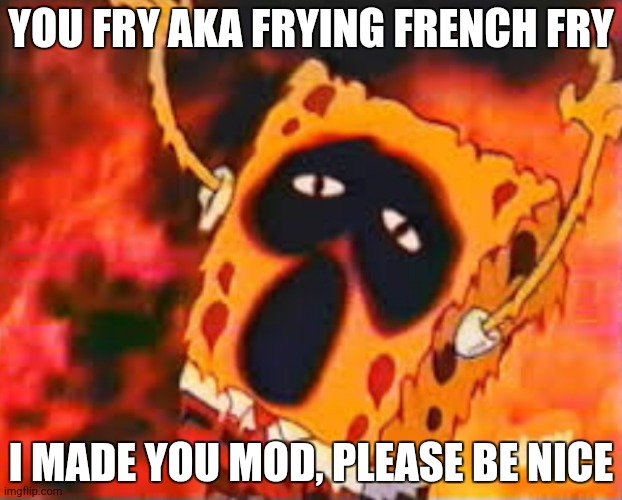 Please be nice | YOU FRY AKA FRYING FRENCH FRY; I MADE YOU MOD, PLEASE BE NICE | image tagged in spogery 666 | made w/ Imgflip meme maker