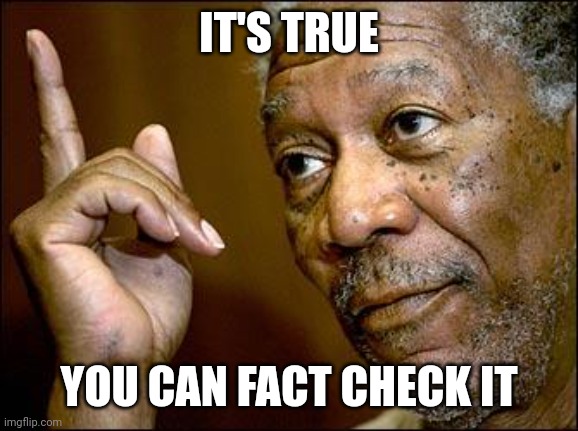 This Morgan Freeman | IT'S TRUE YOU CAN FACT CHECK IT | image tagged in this morgan freeman | made w/ Imgflip meme maker