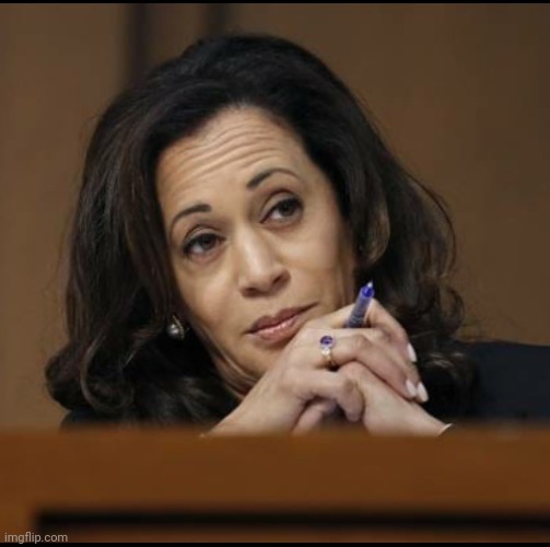 Kamala Harris  | image tagged in kamala harris | made w/ Imgflip meme maker