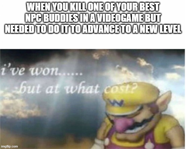 yeah bro its so sad | WHEN YOU KILL ONE OF YOUR BEST NPC BUDDIES IN A VIDEOGAME BUT NEEDED TO DO IT TO ADVANCE TO A NEW LEVEL | image tagged in i won but at what cost | made w/ Imgflip meme maker