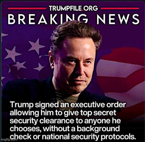 National Security Risk | image tagged in trump,musk,gop,fascists,nazis,maga | made w/ Imgflip meme maker