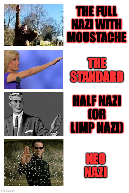 Guide to the second term (with apologies to Keanu). | THE FULL NAZI WITH MOUSTACHE; THE STANDARD; HALF NAZI
(OR
LIMP NAZI); NEO NAZI | image tagged in memes,guide to the second term,salute,i didn't nazi that coming | made w/ Imgflip meme maker