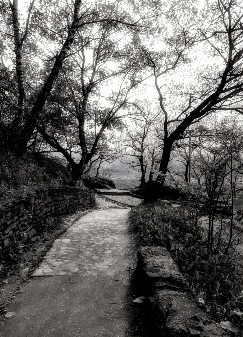 High Quality Walking Trail. Blank Meme Template