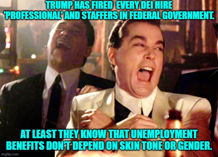 Thank goodness there is no DEI discrimination in unemployment benefits, eh leftists? | TRUMP HAS FIRED  EVERY DEI HIRE 'PROFESSIONAL' AND STAFFERS IN FEDERAL GOVERNMENT. AT LEAST THEY KNOW THAT UNEMPLOYMENT BENEFITS DON'T DEPEND ON SKIN TONE OR GENDER. | image tagged in good fellas hilarious | made w/ Imgflip meme maker