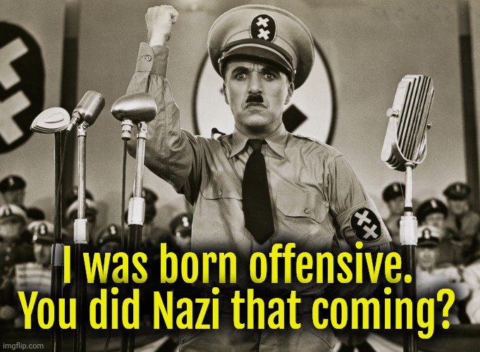 Far Right Offensivist | I was born offensive. You did Nazi that coming? | image tagged in far right offensivist | made w/ Imgflip meme maker