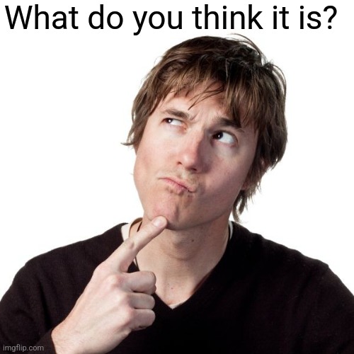 Thinking guy 1 | What do you think it is? | image tagged in thinking guy 1 | made w/ Imgflip meme maker