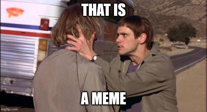 Dumb and Dumber | THAT IS A MEME | image tagged in dumb and dumber | made w/ Imgflip meme maker