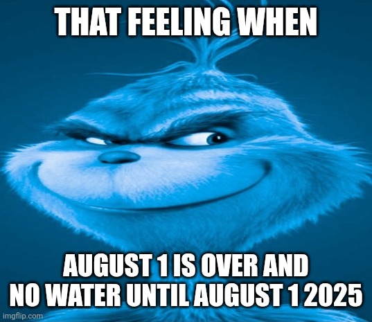 Blue Grinch | THAT FEELING WHEN AUGUST 1 IS OVER AND NO WATER UNTIL AUGUST 1 2025 | image tagged in blue grinch | made w/ Imgflip meme maker