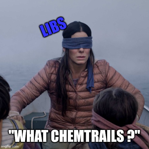 Bird Box Meme | LIBS; "WHAT CHEMTRAILS ?" | image tagged in memes,bird box | made w/ Imgflip meme maker