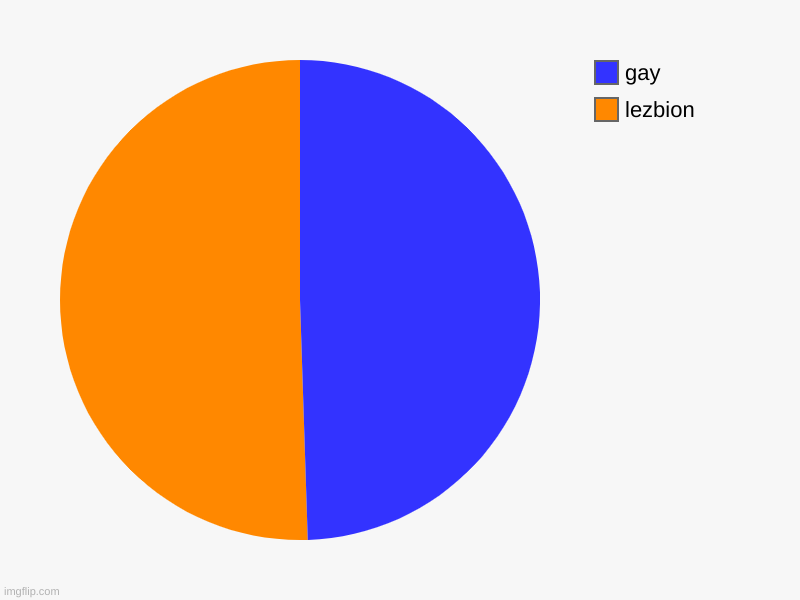 lezbion, gay | image tagged in charts,pie charts | made w/ Imgflip chart maker