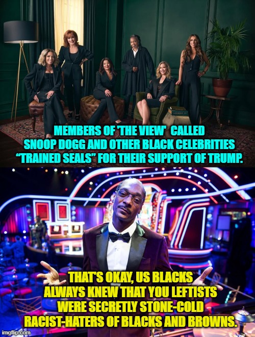 Obvious from the way that you NEVER encourage minorities to think for themselves. | MEMBERS OF 'THE VIEW'  CALLED SNOOP DOGG AND OTHER BLACK CELEBRITIES “TRAINED SEALS” FOR THEIR SUPPORT OF TRUMP. THAT'S OKAY, US BLACKS ALWAYS KNEW THAT YOU LEFTISTS WERE SECRETLY STONE-COLD RACIST-HATERS OF BLACKS AND BROWNS. | image tagged in yep | made w/ Imgflip meme maker