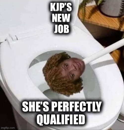 Karinne Toilet Brush | KJP’S 
NEW 
JOB SHE’S PERFECTLY QUALIFIED | image tagged in karinne toilet brush | made w/ Imgflip meme maker