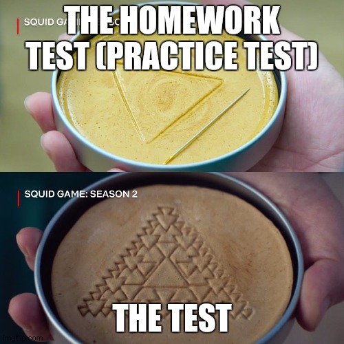 Fr | THE HOMEWORK TEST (PRACTICE TEST); THE TEST | image tagged in squid game 2 | made w/ Imgflip meme maker