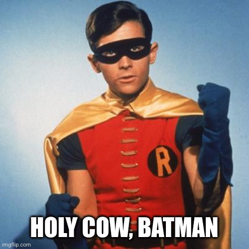 Robin | HOLY COW, BATMAN | image tagged in robin | made w/ Imgflip meme maker