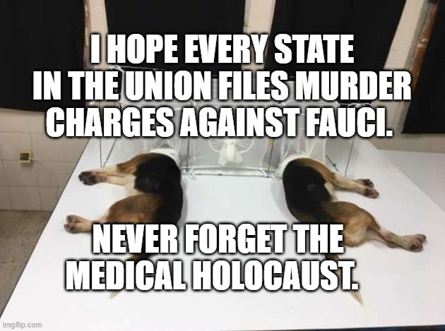 Anthony Fauci Loves Dogs and People | I HOPE EVERY STATE IN THE UNION FILES MURDER CHARGES AGAINST FAUCI. NEVER FORGET THE MEDICAL HOLOCAUST. | image tagged in anthony fauci loves dogs and people | made w/ Imgflip meme maker