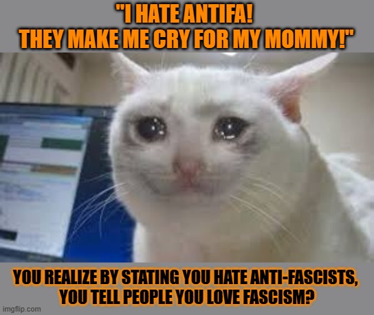 This #lolcat wonders if wappies realize they state they love fascism | "I HATE ANTIFA! 
THEY MAKE ME CRY FOR MY MOMMY!"; YOU REALIZE BY STATING YOU HATE ANTI-FASCISTS, 
YOU TELL PEOPLE YOU LOVE FASCISM? | image tagged in fascism,fascists,wappies,lolcat,stupid people | made w/ Imgflip meme maker