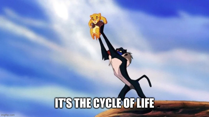 Circle of life | IT'S THE CYCLE OF LIFE | image tagged in circle of life | made w/ Imgflip meme maker