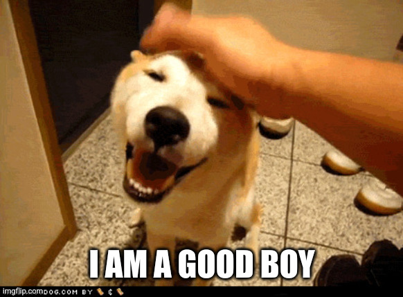 Good boy | I AM A GOOD BOY | image tagged in good boy | made w/ Imgflip meme maker